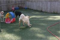 daycare pic 82 - play time